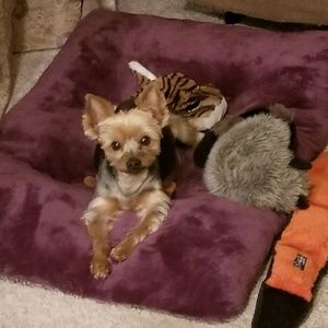 Meet your Posher, Denetta